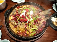 -老板恋上鱼(荣盛广场店)