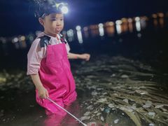 -海南清水湾莱佛士酒店