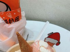 -极拉图·现制冰淇淋(梅溪湖新天地步步高店)