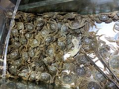 -欢乐牧场海鲜烤肉自助(牡丹园店)