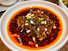凉拌鸡-铁公鸡·四川料理(天环广场店)