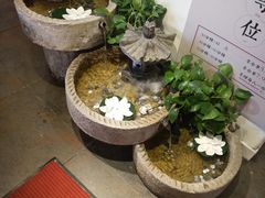 -茶花妹子云南餐厅(传媒大学店)