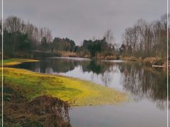 -桤木河湿地公园