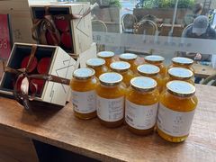-去茶山