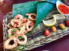 -茉莉.Red Crab
