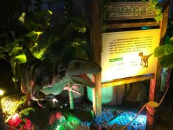 -恐龙探索乐园(磁器口店)