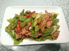 -马大胡子清真西北菜