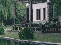 -上海共青森林公园