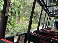 -深圳野生动物园