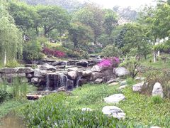 -东莞植物园