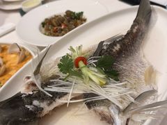 -千灯盛汇·头牌粤菜(致越优城店)