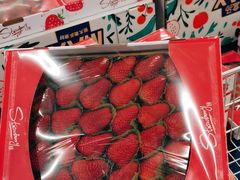 -盒马X会员店(上海森兰商都店)