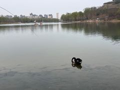 -河北省园博园