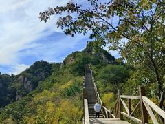 -大岭沟猕猴桃谷风景区
