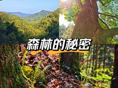 -象头山国家级自然保护区