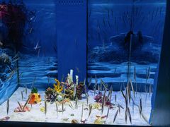 -多彩贵州城极地海洋世界