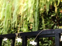 -HOME餐厅粤菜 融合菜