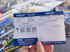 -费特希耶滑翔伞