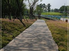 -白鹭湾湿地公园