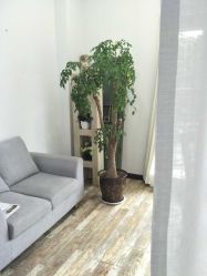 -星豆豆儿童摄影(南郊太白南路店)