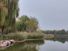 -西海子公园