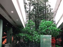 -中国湿地博物馆