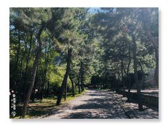 -藏山旅游风景区