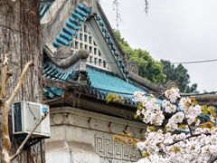 -武汉大学-樱园