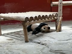 -杭州野生动物世界