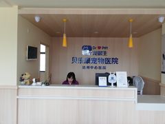 -宠颐生宠物医院·骨外科·犬猫全科诊疗中心(池州店)