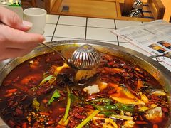 -蛙一刀·麻椒鱼火锅(金仙桥店)