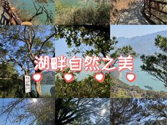 -羚羊峡古栈道森林公园