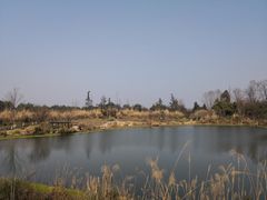 -桤木河湿地公园