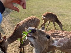 -祥源·阜阳生态乐园