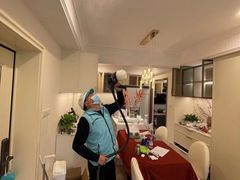 -Liteclear日本进口强效除甲醛检测治理(旗舰店)