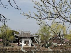-无锡蠡湖国家湿地公园-蠡园