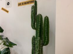 -杨丹国际美学肌研所