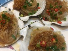 -小海丁