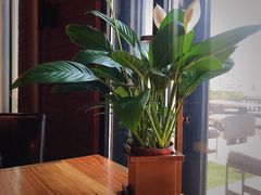 -SMOKI & CO(五大道店)