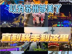 -盐城丹顶鹤湿地生态旅游区