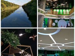 -黄海国家森林公园