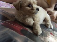 -咸宁万豪温泉谷度假区