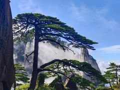 -黄山风景区
