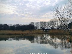 -西湖风景区-江洋畈生态公园