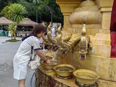 -西双版纳勐泐文化旅游区