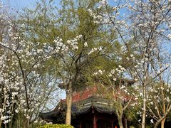 -堤角公园