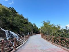 -霸王岭国家森林公园