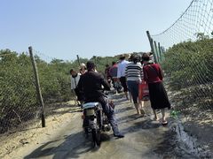 -北海金海湾红树林生态旅游区