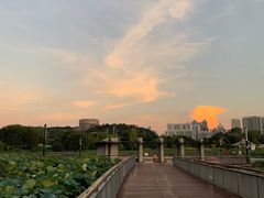 -月湖风景区
