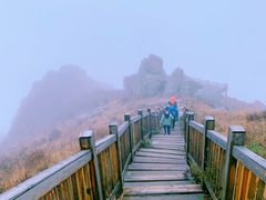 -白草畔自然风景区